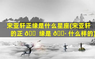 宋亚轩正缘是什么星座(宋亚轩的正 🐠 缘是 🌷 什么样的)